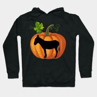 Donkey in pumpkin Hoodie